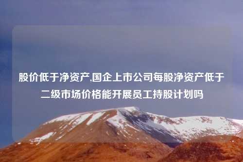 股价低于净资产,国企上市公司每股净资产低于二级市场价格能开展员工持股计划吗