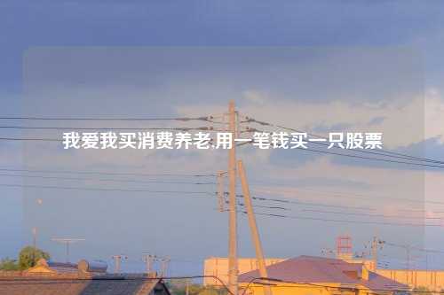 我爱我买消费养老,用一笔钱买一只股票