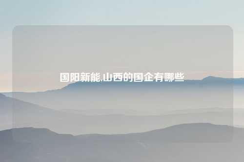 国阳新能,山西的国企有哪些