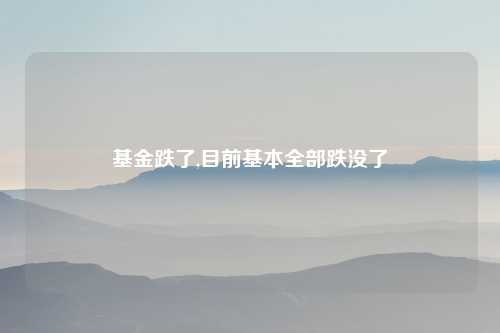 基金跌了,目前基本全部跌没了