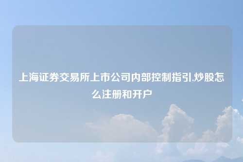 上海证券交易所上市公司内部控制指引,炒股怎么注册和开户