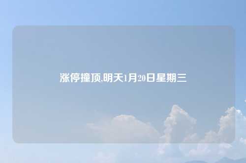 涨停撞顶,明天1月20日星期三
