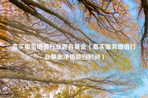 嘉实服务增值行业混合基金（嘉实服务增值行业基金净值赎回时间）