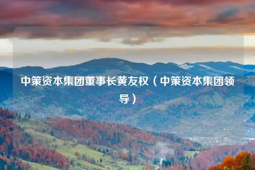 中策资本集团董事长黄友权（中策资本集团领导）