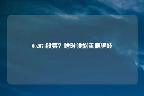 002074股票？啥时候能重振旗鼓