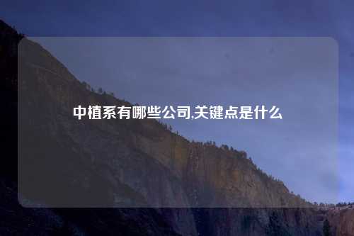 中植系有哪些公司,关键点是什么