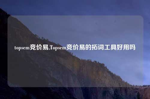 topsem竞价易,Topsem竞价易的拓词工具好用吗