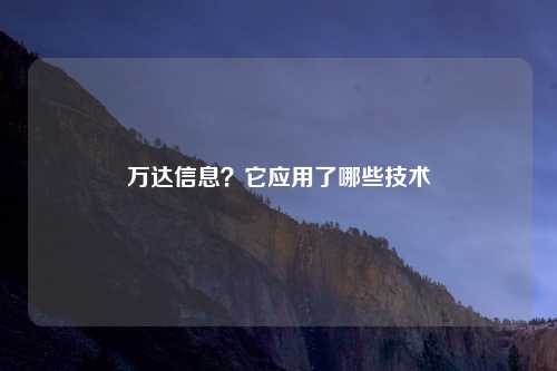 万达信息？它应用了哪些技术