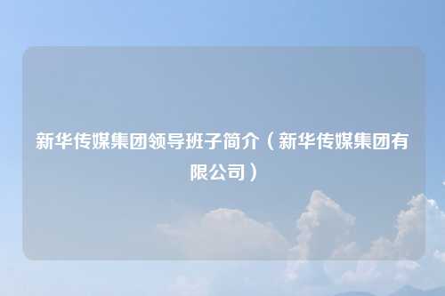 新华传媒集团领导班子简介（新华传媒集团有限公司）