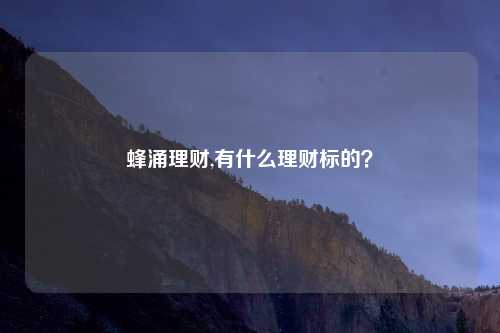 蜂涌理财,有什么理财标的？