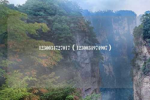1230034727017（1230034974907）