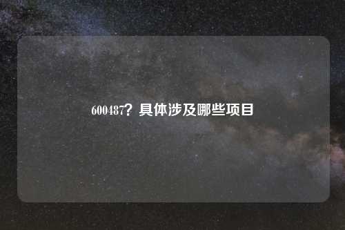 600487？具体涉及哪些项目
