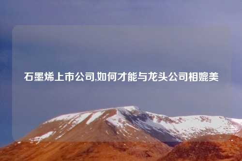 石墨烯上市公司,如何才能与龙头公司相媲美