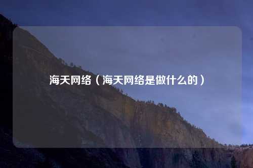 海天网络（海天网络是做什么的）