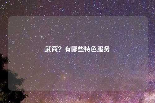 武商？有哪些特色服务