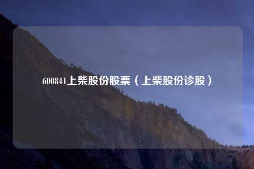 600841上柴股份股票（上柴股份诊股）