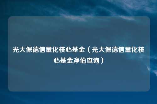光大保德信量化核心基金（光大保德信量化核心基金净值查询）