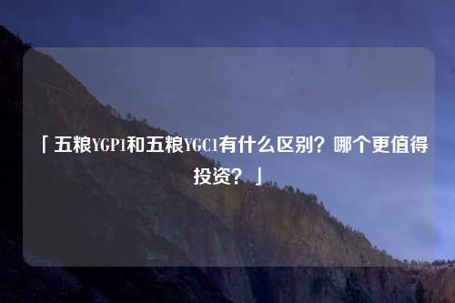 「五粮YGP1和五粮YGC1有什么区别？哪个更值得投资？」