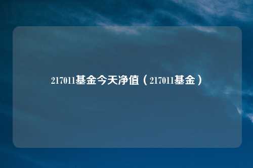 217011基金今天净值（217011基金）