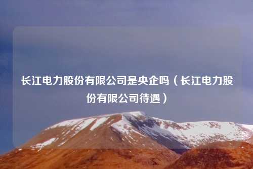 长江电力股份有限公司是央企吗（长江电力股份有限公司待遇）