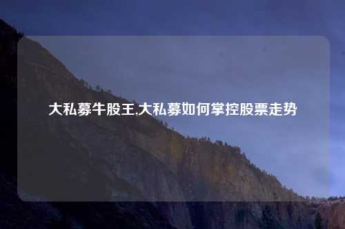 大私募牛股王,大私募如何掌控股票走势