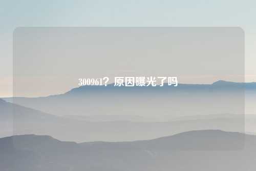 300961？原因曝光了吗