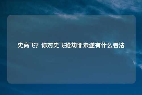史高飞？你对史飞抢劫罪未遂有什么看法