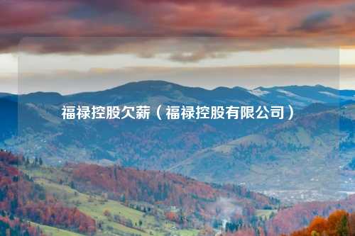 福禄控股欠薪（福禄控股有限公司）