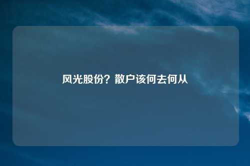 风光股份？散户该何去何从