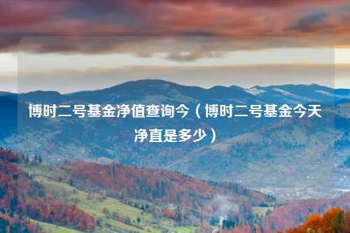 博时二号基金净值查询今（博时二号基金今天净直是多少）