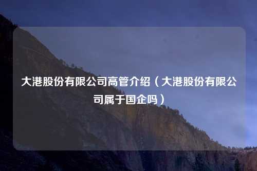 大港股份有限公司高管介绍(大港股份有限公司属于国企吗)