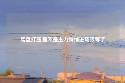 尾盘打压,是不是主力悄悄进场吸筹了