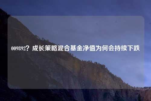 009892?成长策略混合基金净值为何会持续下跌