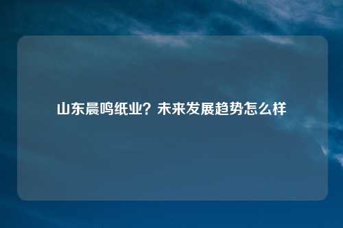 山东晨鸣纸业?未来发展趋势怎么样