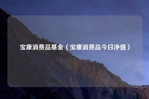 宝康消费品基金(宝康消费品今日净值)