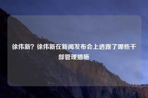徐伟新?徐伟新在新闻发布会上透露了哪些干部管理措施