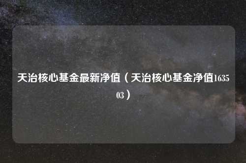 天治核心基金最新净值(天治核心基金净值163503)