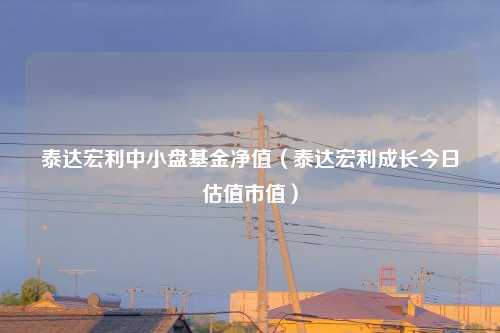 泰达宏利中小盘基金净值（泰达宏利成长今日估值市值）