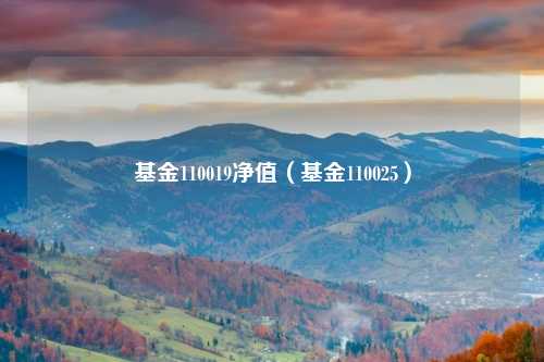 基金110019净值（基金110025）