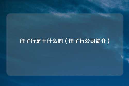 任子行是干什么的（任子行公司简介）