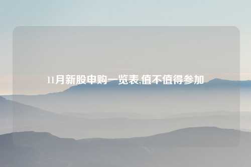 11月新股申购一览表,值不值得参加