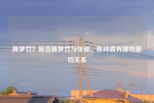 陈梦竹?原告陈梦竹与张丽、陈峙霖有哪些密切关系
