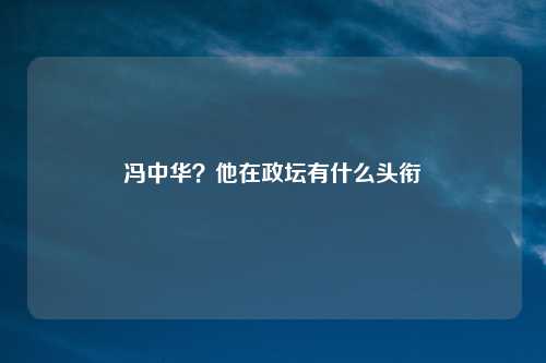 冯中华？他在政坛有什么头衔