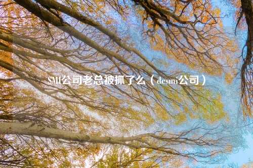 SMI公司老总被抓了么（desmi公司）