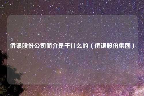 侨银股份公司简介是干什么的（侨银股份集团）