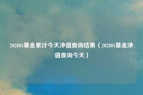 202801基金累计今天净值查询结果（202801基金净值查询今天）