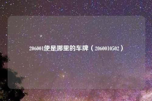 206001使是哪里的车牌（2060010502）