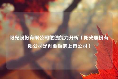 阳光股份有限公司偿债能力分析（阳光股份有限公司是创业板的上市公司）