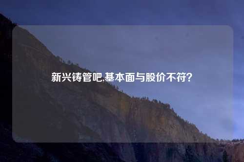 新兴铸管吧,基本面与股价不符？