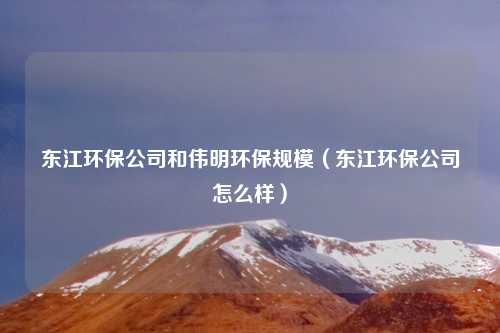 东江环保公司和伟明环保规模（东江环保公司怎么样）